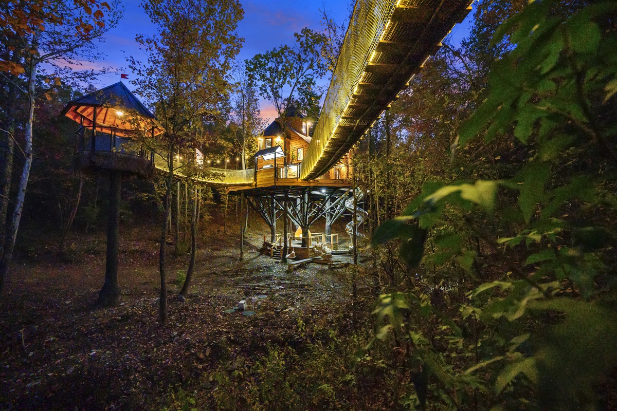 View from under treehouse