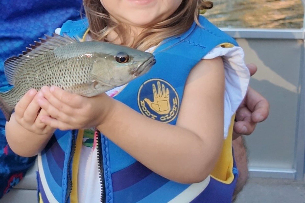Anyone can catch fish!