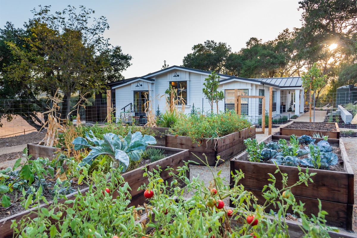 Lush raised garden beds filled with fresh produce just steps from the home.