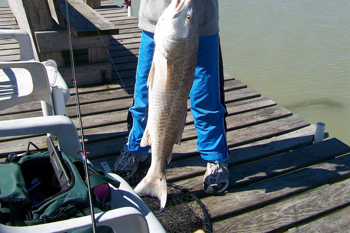 Reel in a big one!