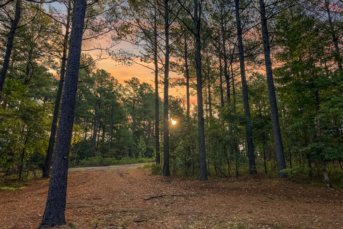 Sunrise view from front porch.