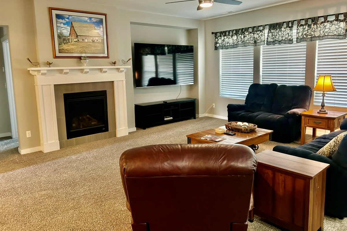 Living Room TV and Fireplace
