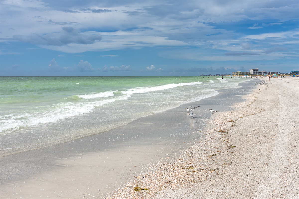 Those Morning Walks on The Beach