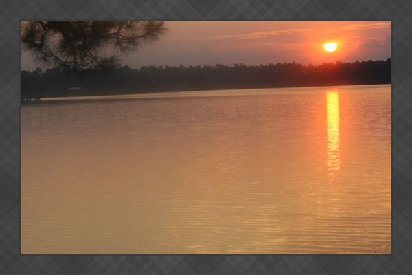 Wild life at Wolf Bay