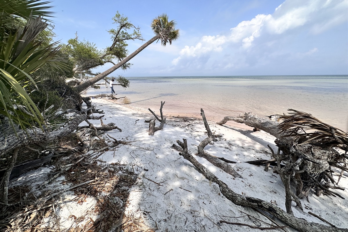 Gorgeous trail walks at Peninsula state park