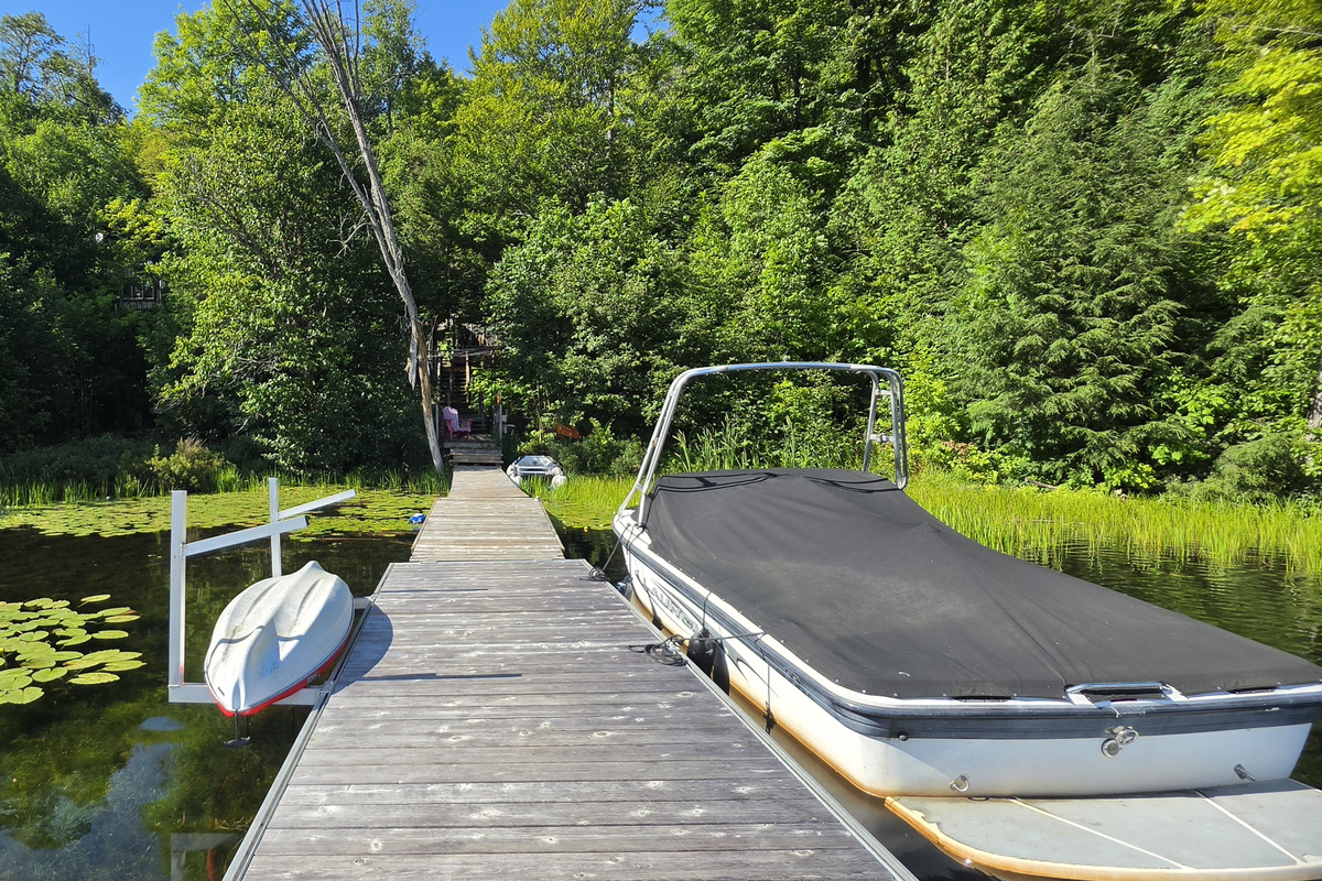 Dock view of lakeshore