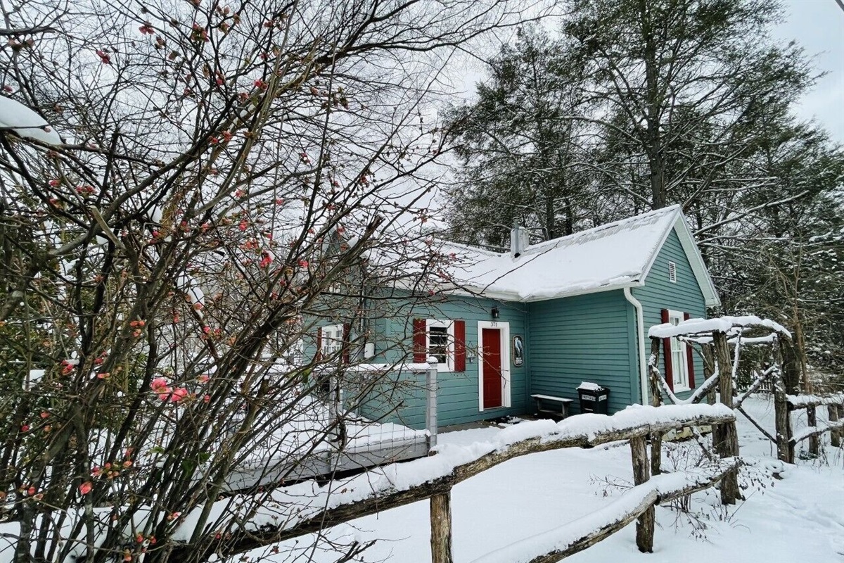 Blue Heron street view