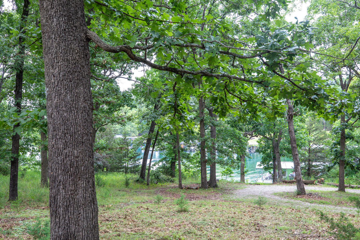 Path down to the lake