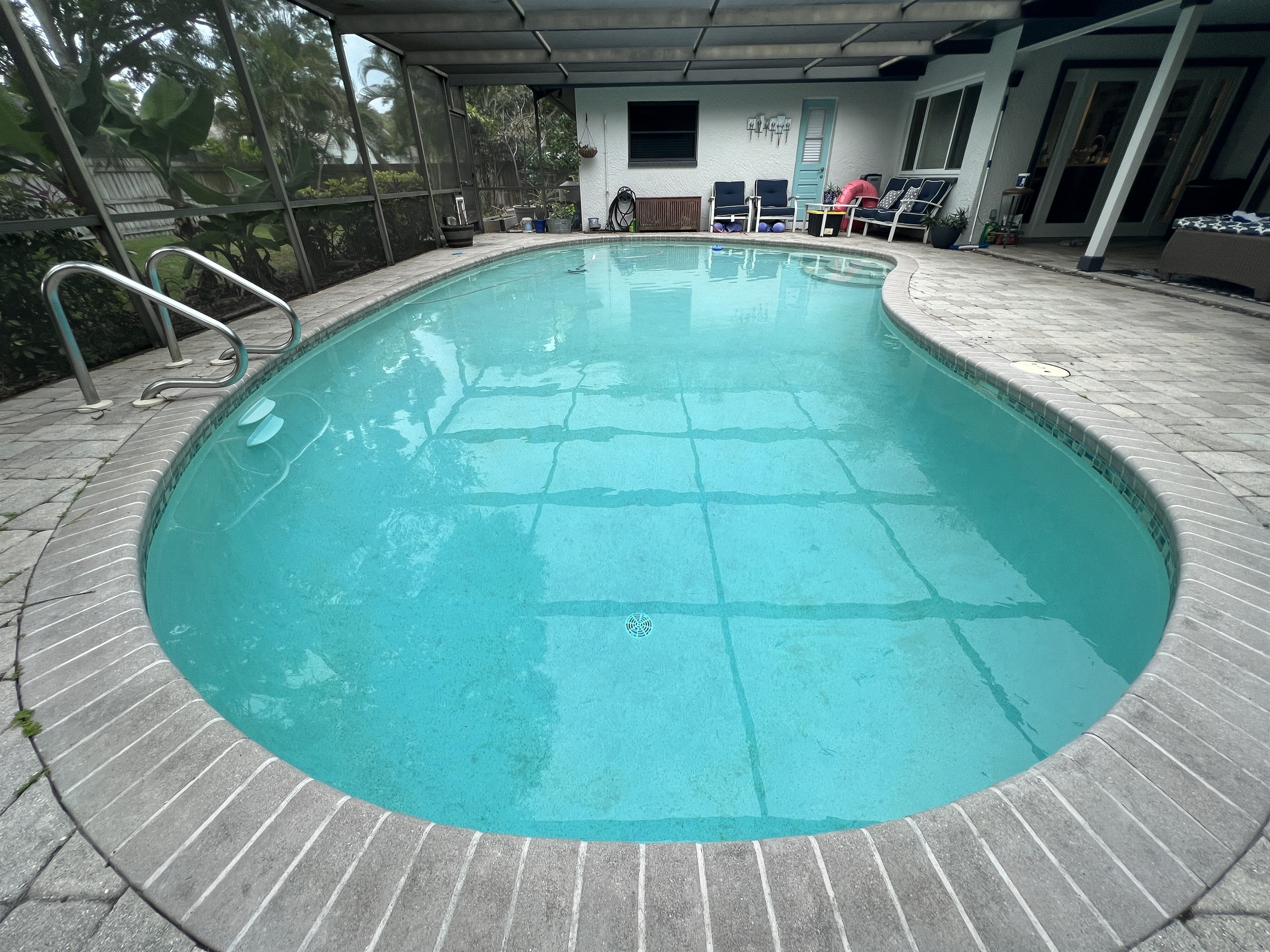 *New* Coastal Palm Harbor Private Home w/ Pool near downtown, beaches & more 2