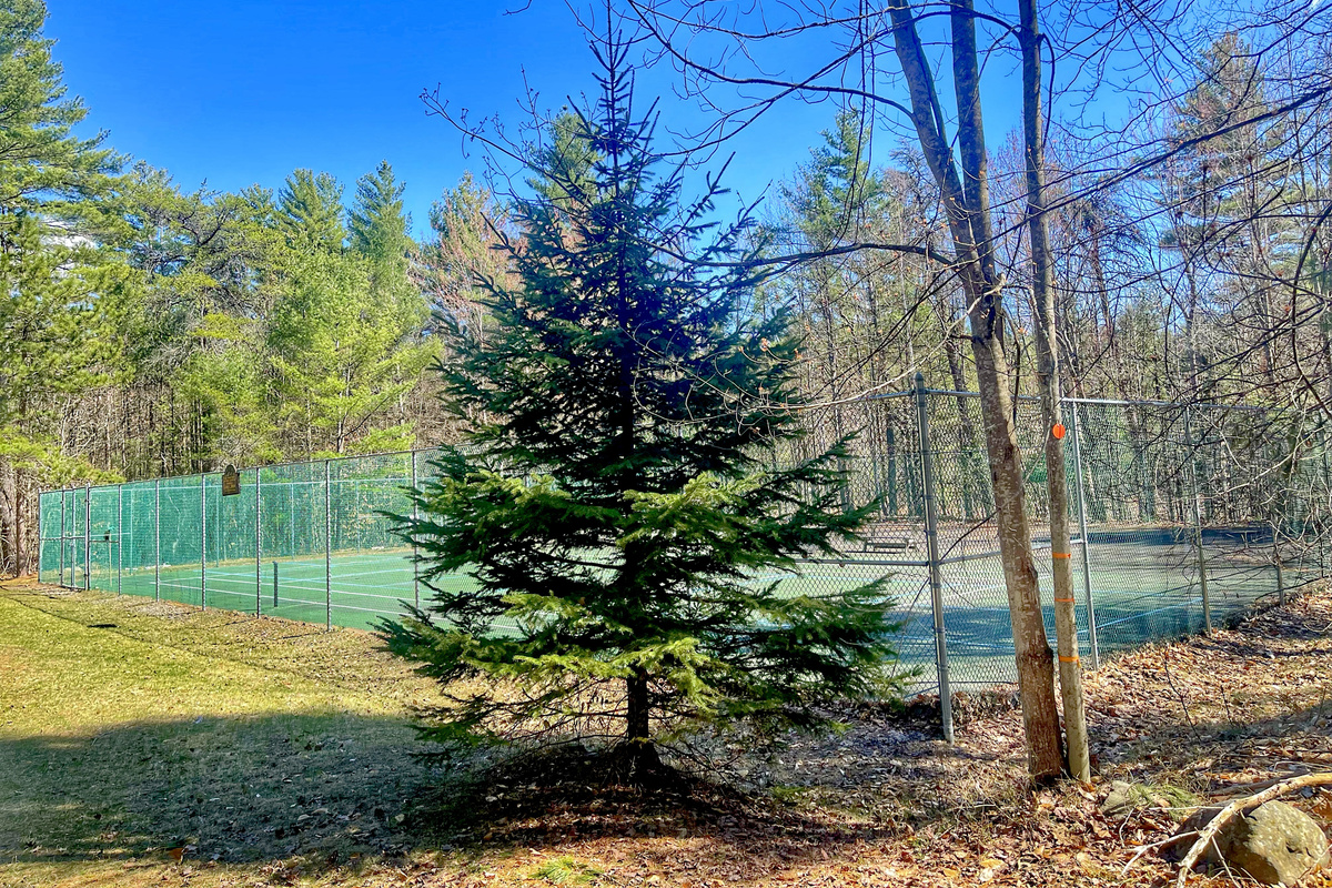 Bring your gear to enjoy tennis at the community court. Hiking trails are located just behind the tennis court. 