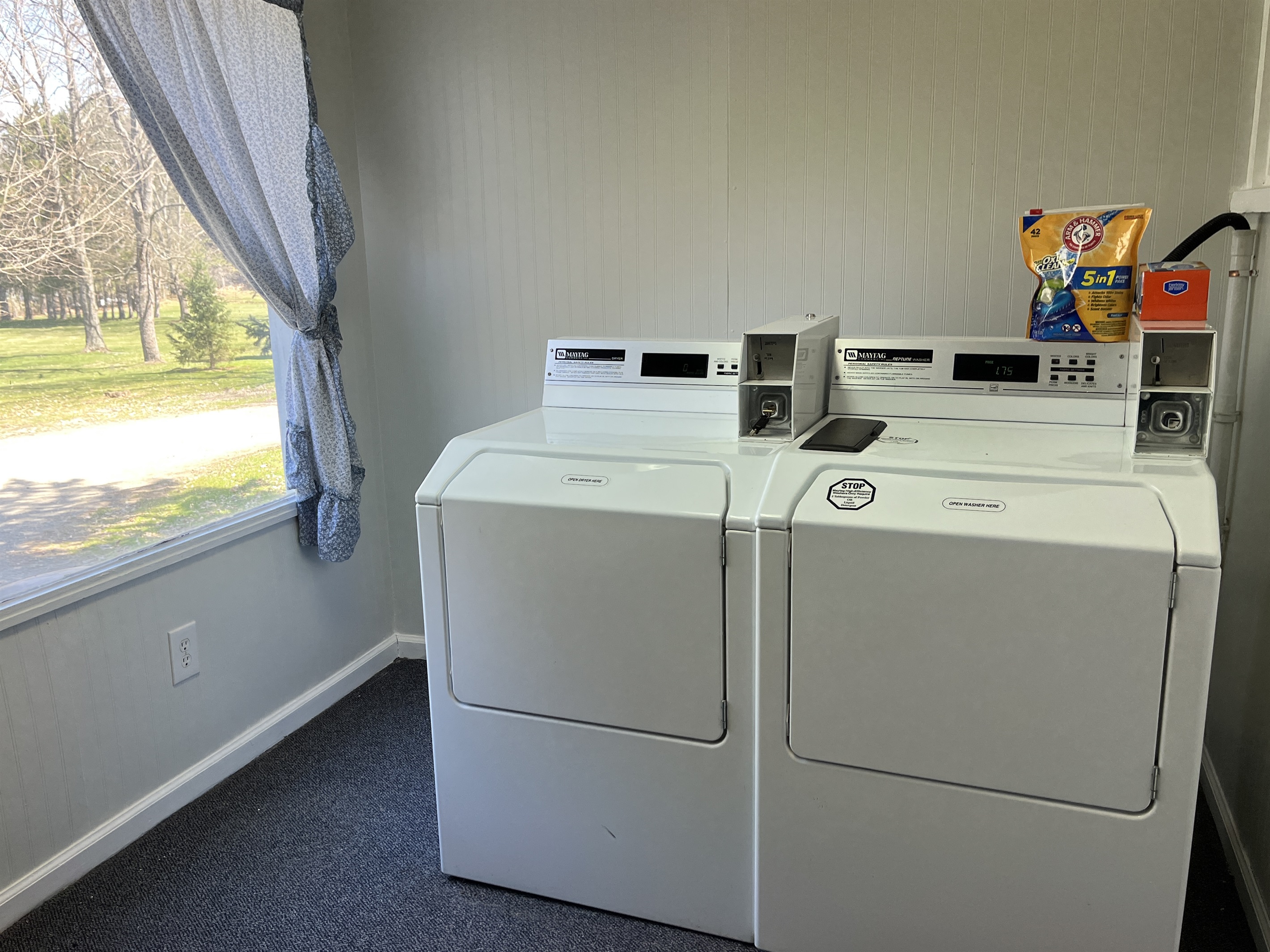 Shared Laundry with Calla Lily #1 on 1st floor