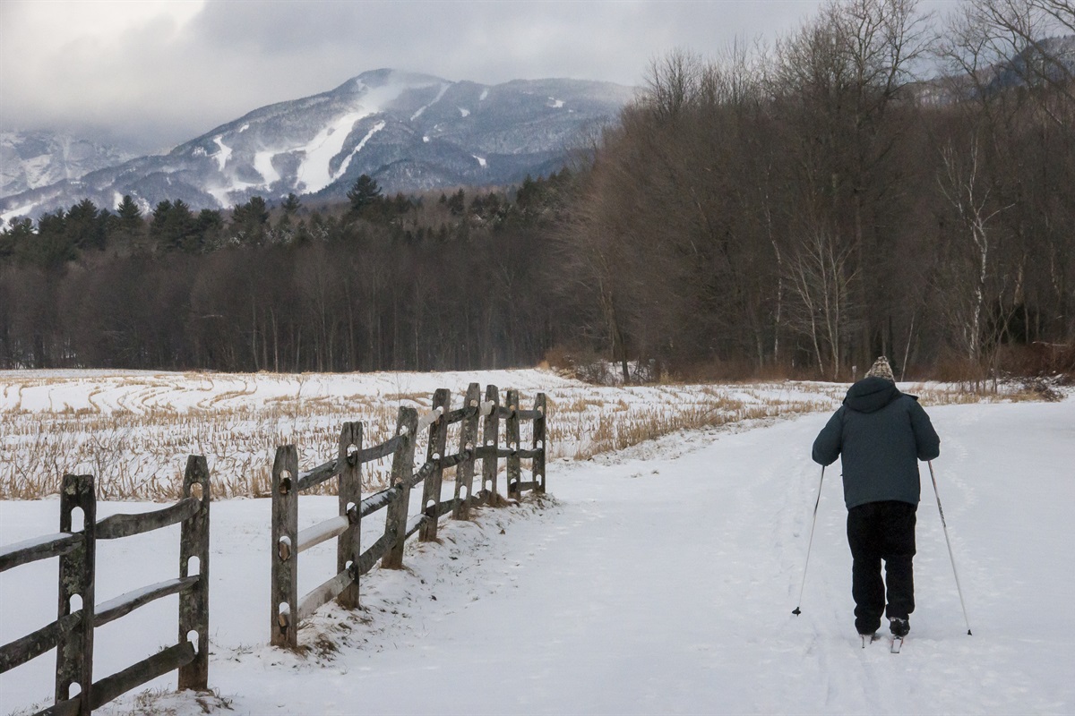 Cross country ski on the Stowe Recreational Path