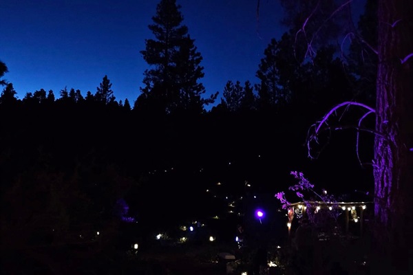 The property at night