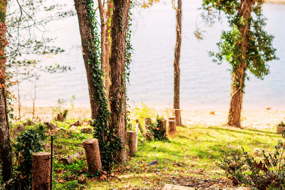 Just a few minute walk will have you lake-side. Put the kayaks in, go for a swim or just enjoy the breathtaking views.