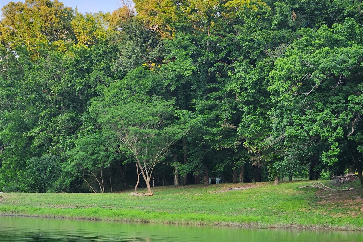 River in May