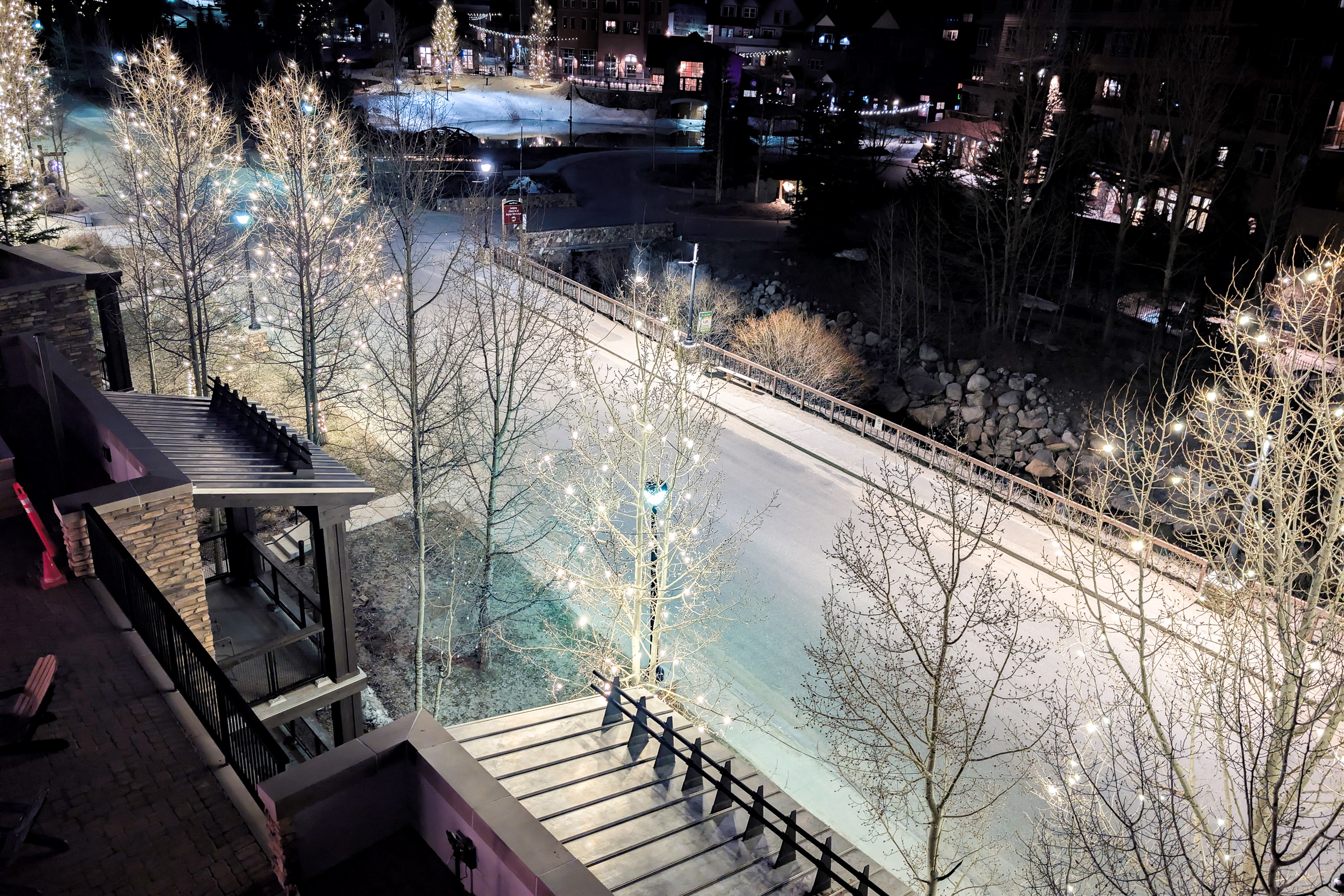 lighted trees at night
