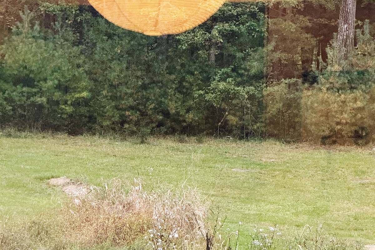 Deer love to pass through the field.