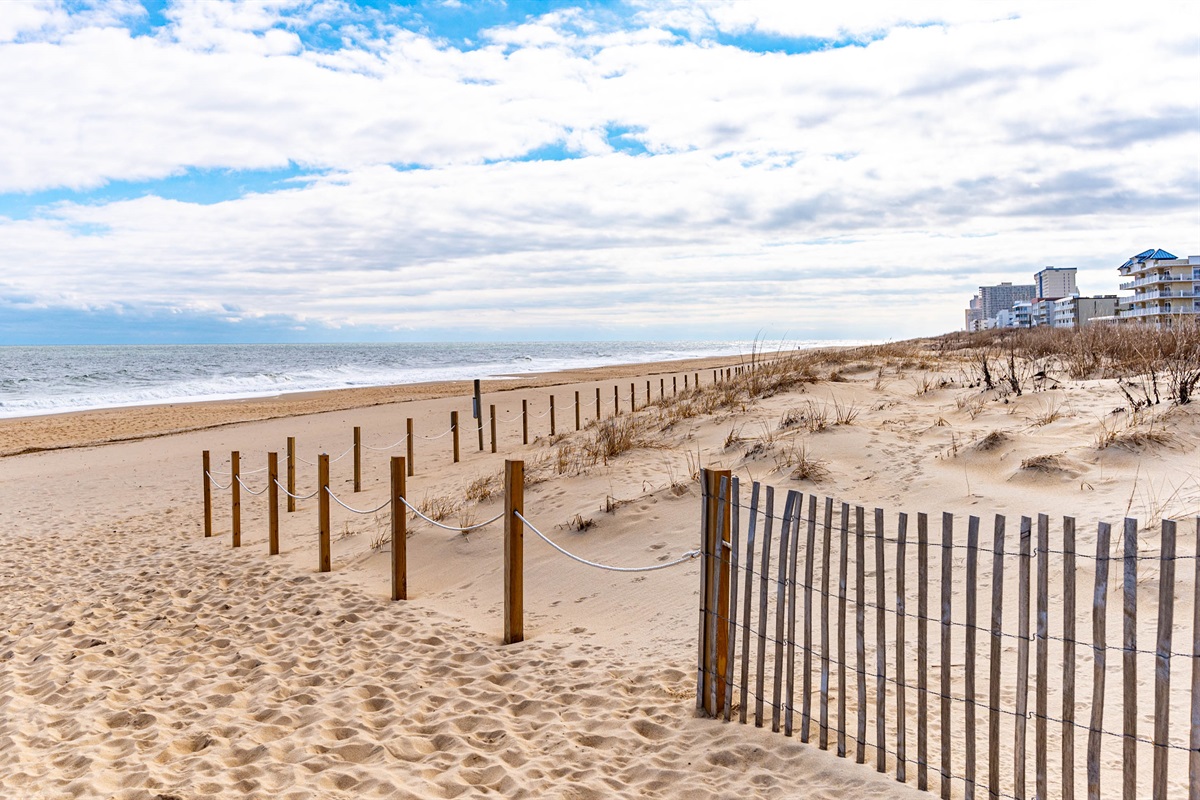 Ocean City Beaches