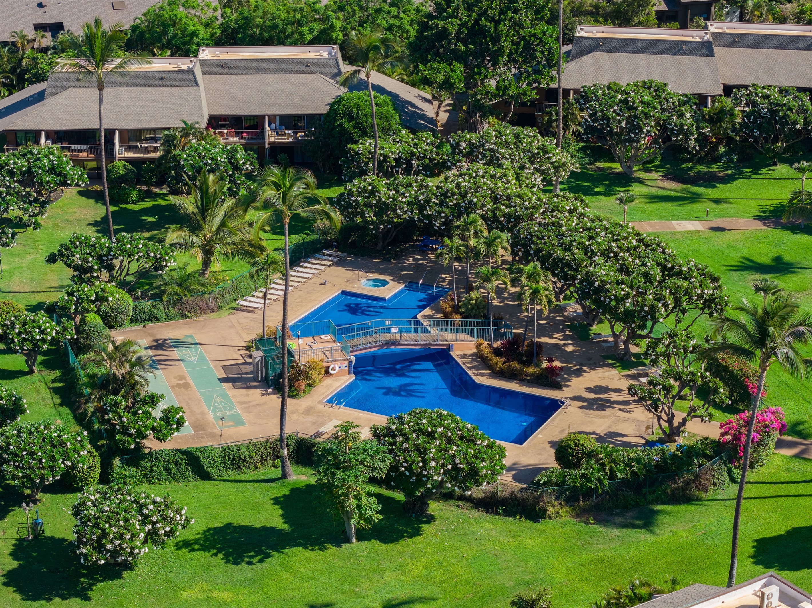 Koa Resort Pool