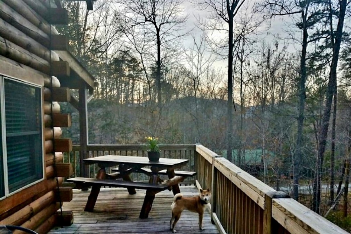 Wrap around deck with rocking chairs, picnic table and grill