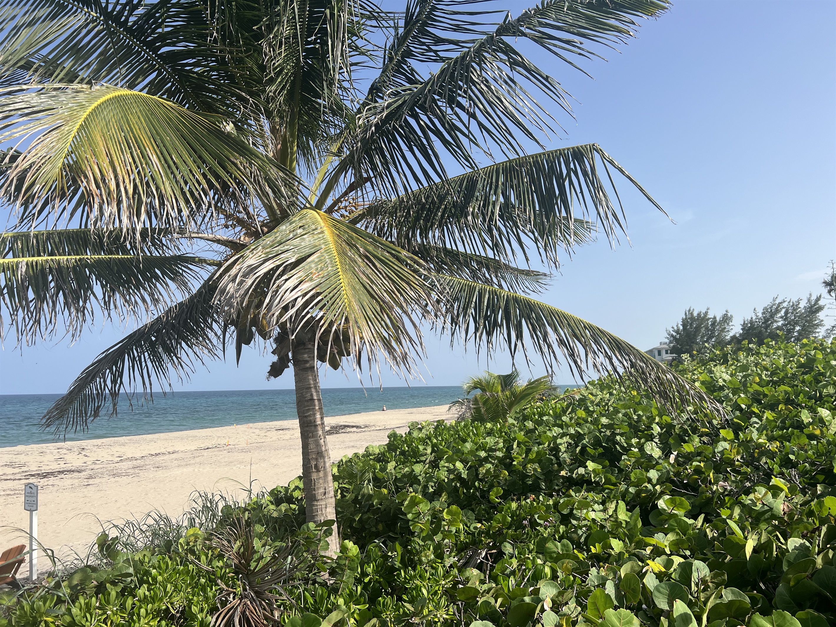 Peaceful and serene, your private deeded beach, at the end of the street