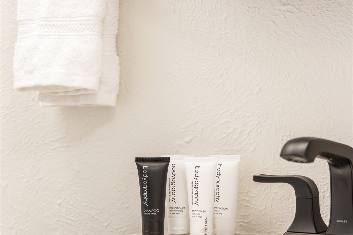 Upstairs Main Level Jack & Jill Bathroom