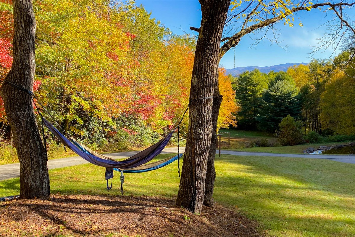 some relaxing hammocks at the Hive