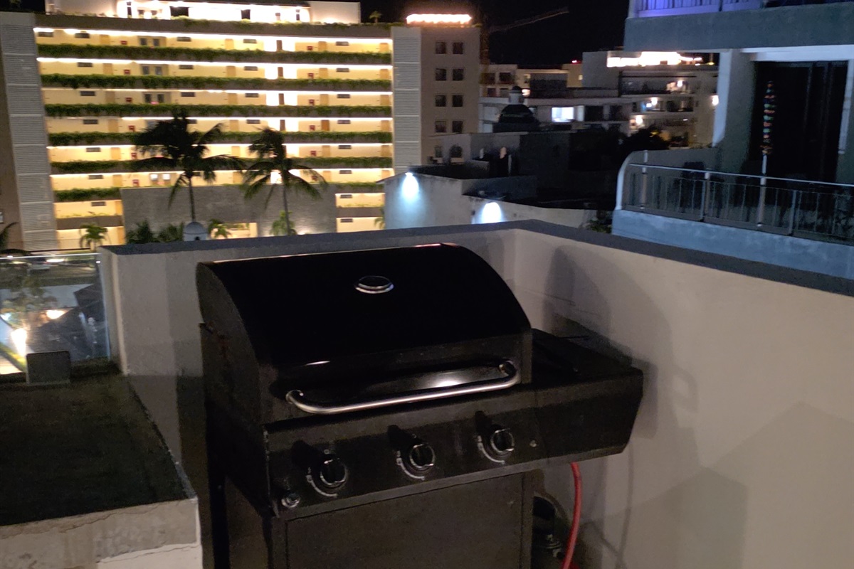 Roof top BBQ with gas