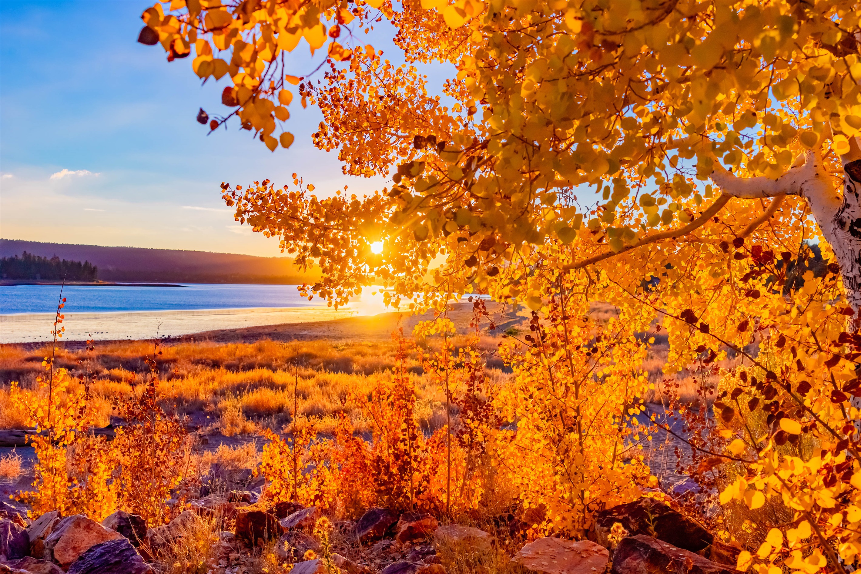 Big Bear Lake in golden Autumn
