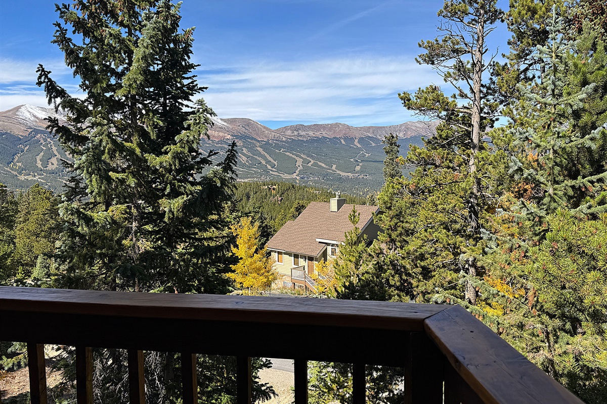 View from living area and front deck
