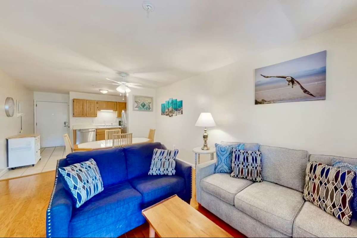 Living room with two sofas
