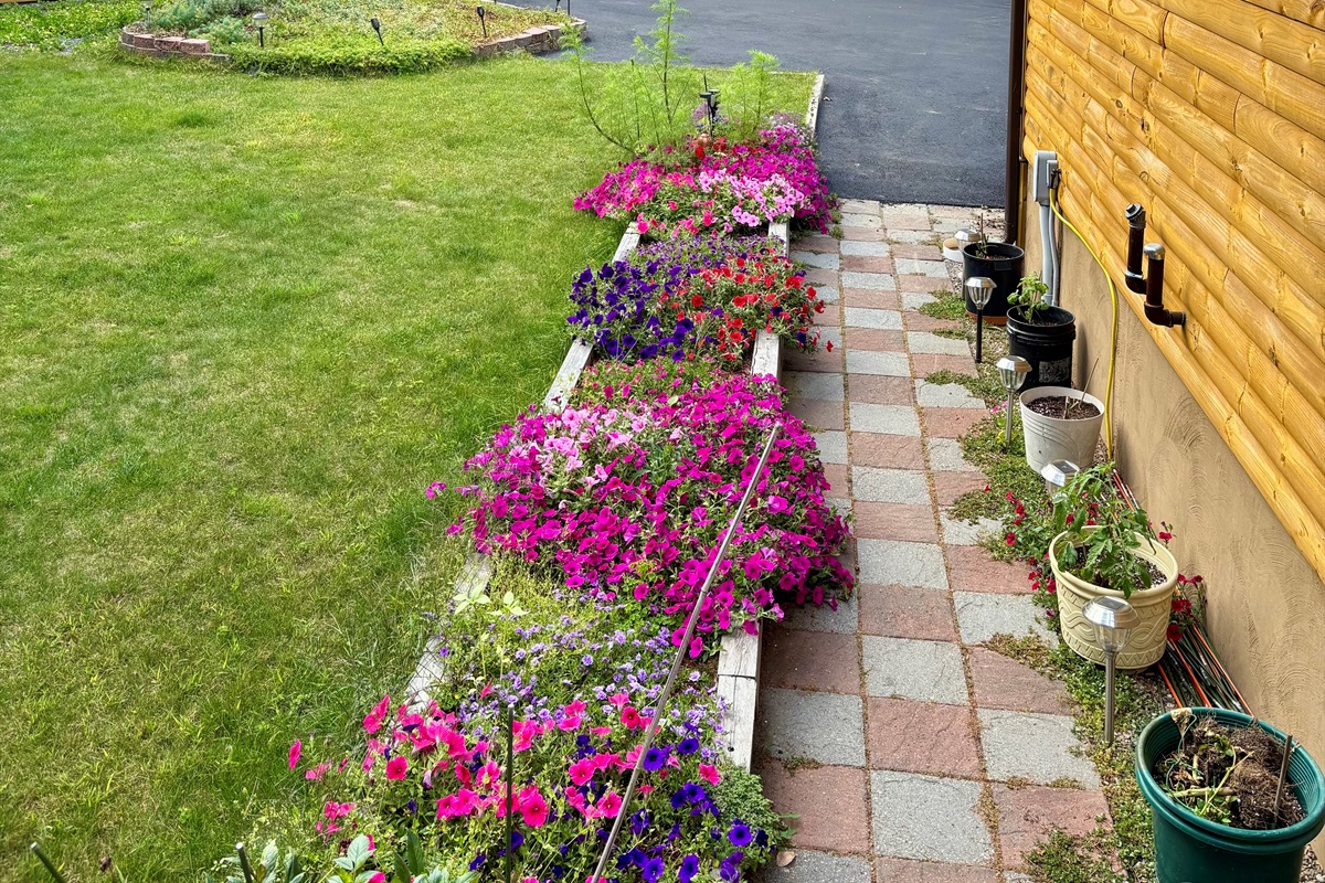 Front of the house