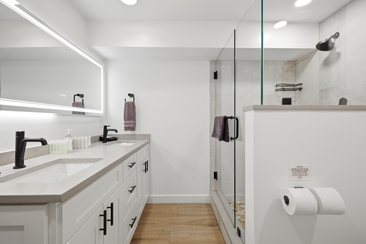 Lower Level Bathroom
