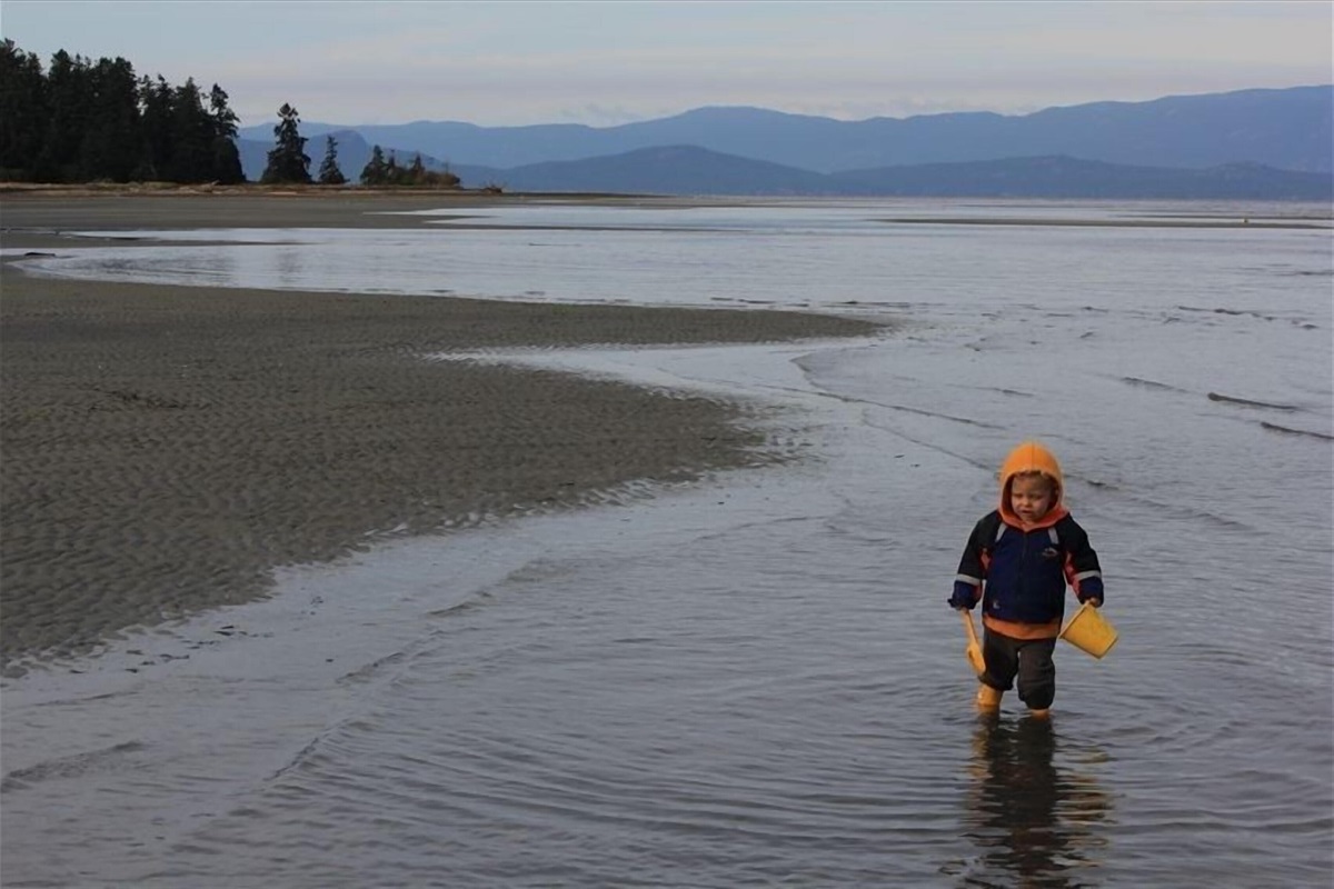 Beach looking towards mainland
