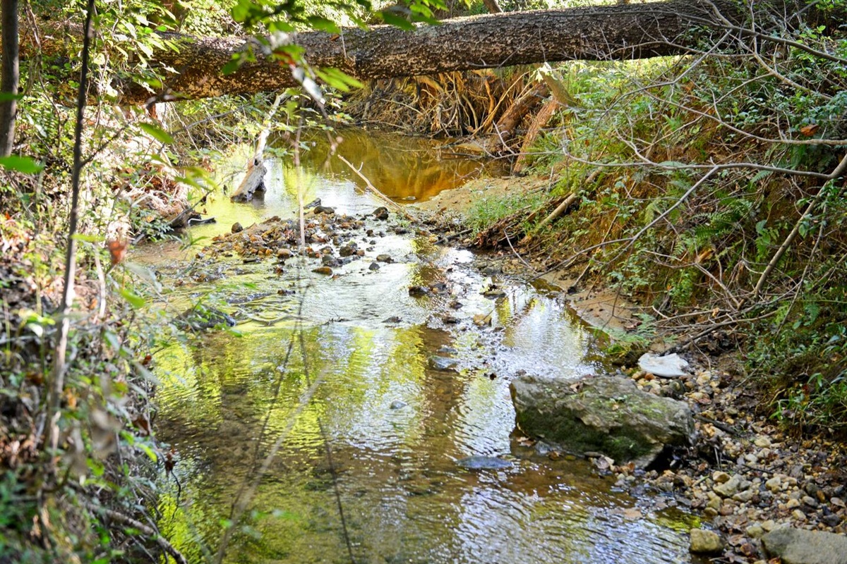 Located in your backyard, this creek means that you will not have to go anywhere to enjoy hours of fun!