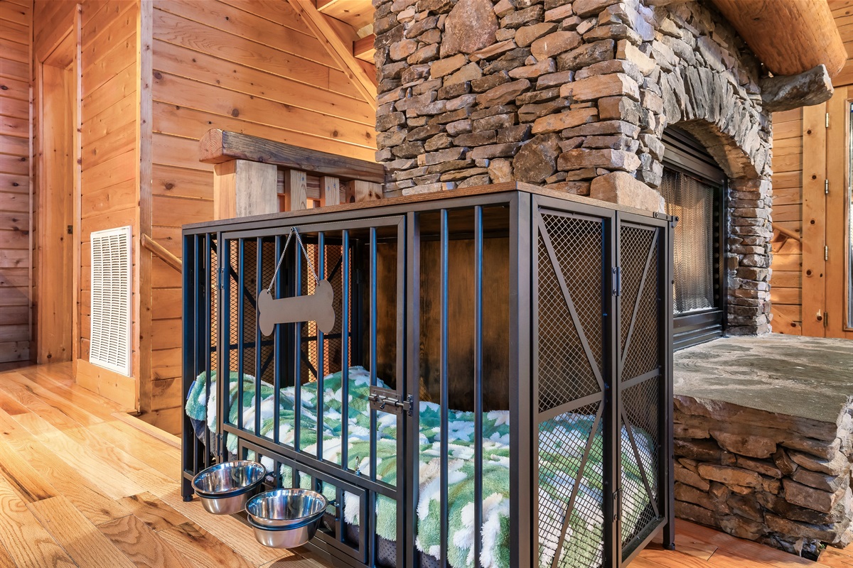 We love our doggy guests!