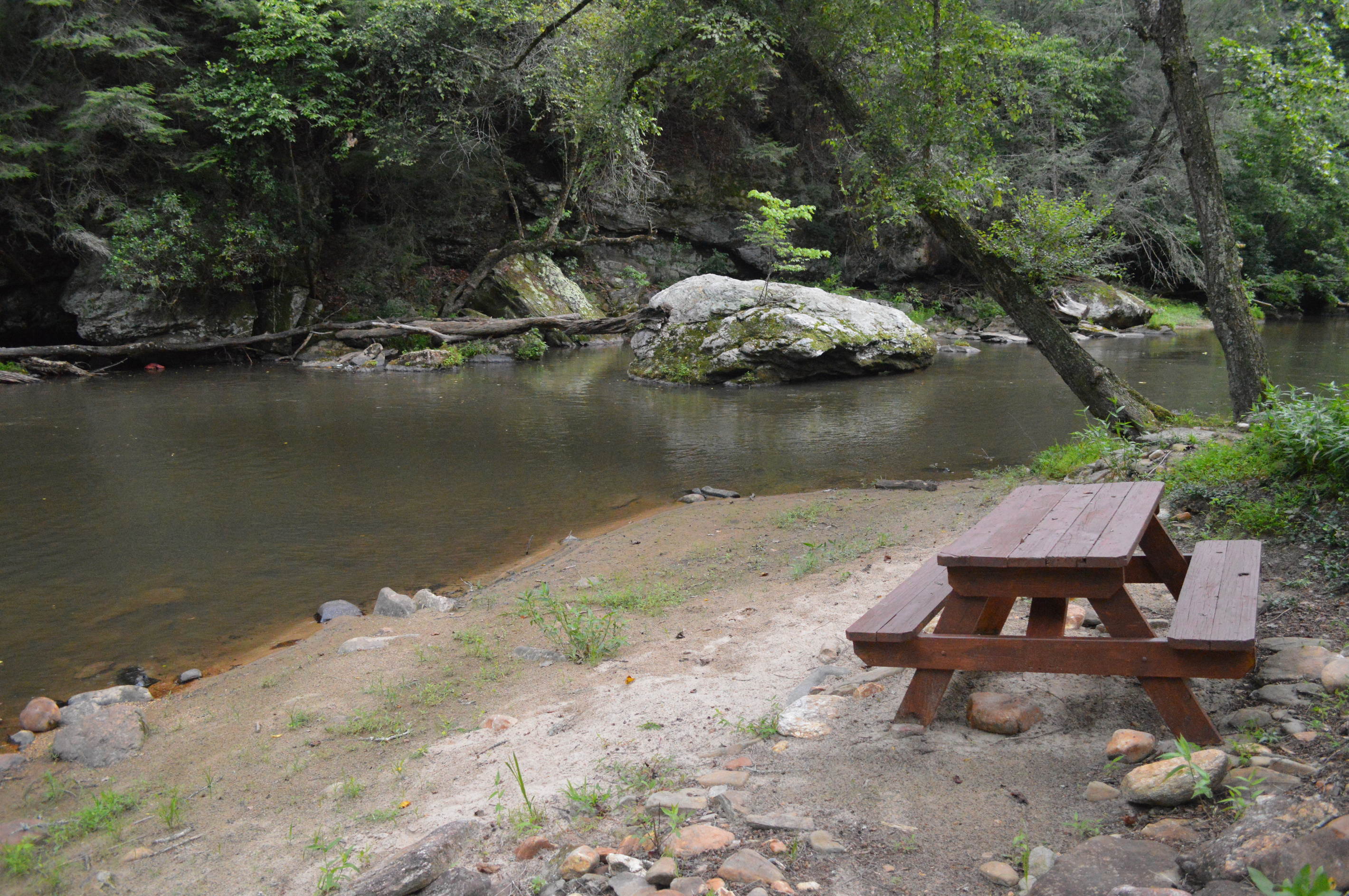 Relax by the river, enjoy a picnic, or dip your feet in the cool Cartecay waters.