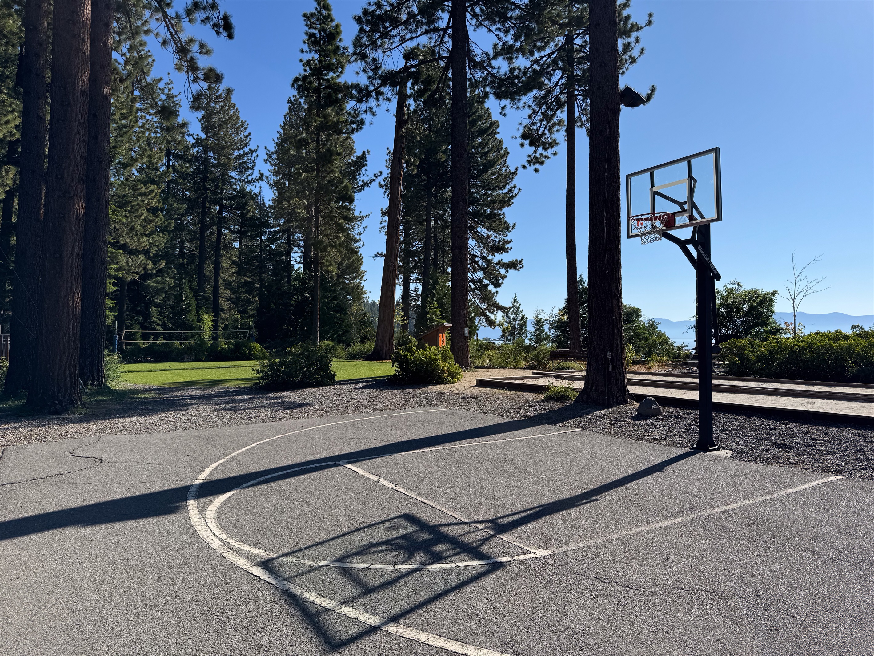 Basketball and bocce ball.