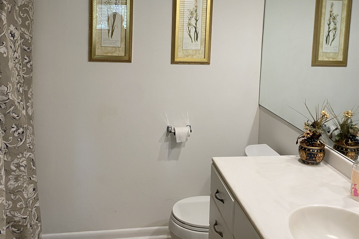 3rd bathroom with bathtub and screwed in hand bar