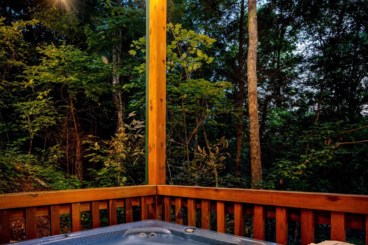 Relax and listen to the crickets, birds and stream below our hot tub. The covered hot tub will be clean and hot for you when you arrive