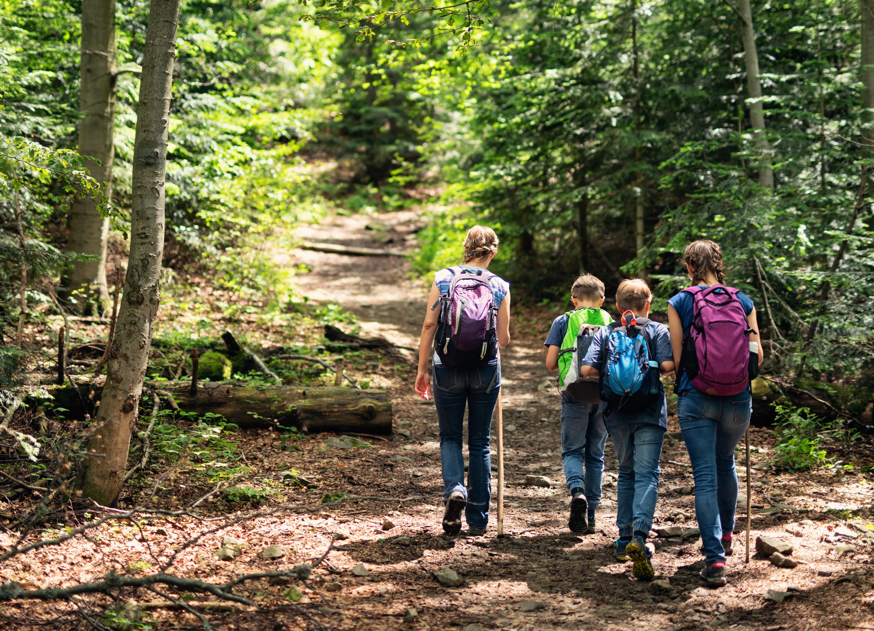 Adventure awaits! Just a short 15 min drive down the road is Lake Malone State Park where you can enjoy easy hikes with picturesque views.