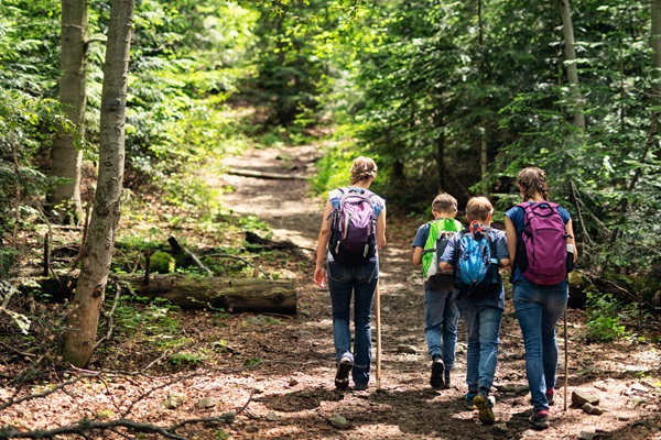 Adventure awaits! Just a short 15 min drive down the road is Lake Malone State Park where you can enjoy easy hikes with picturesque views.