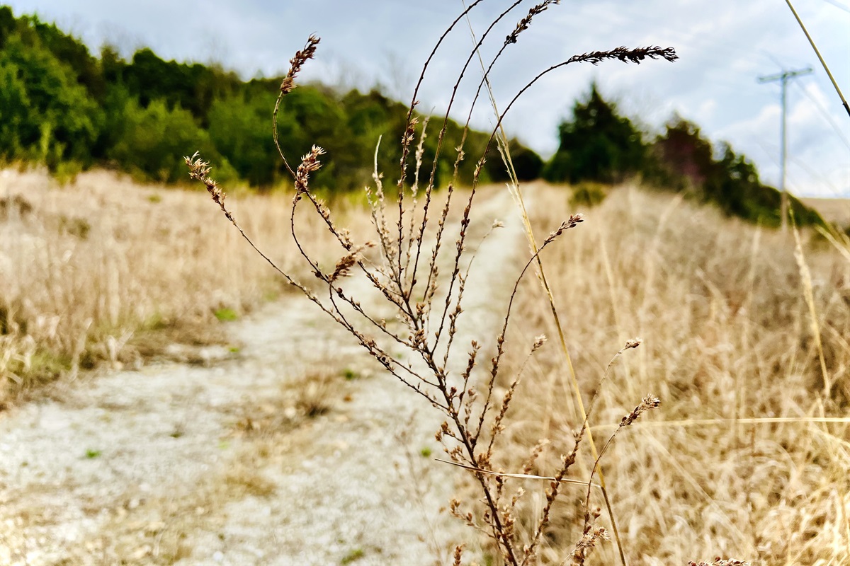 Find year round beauty on the well kept hiking trails.