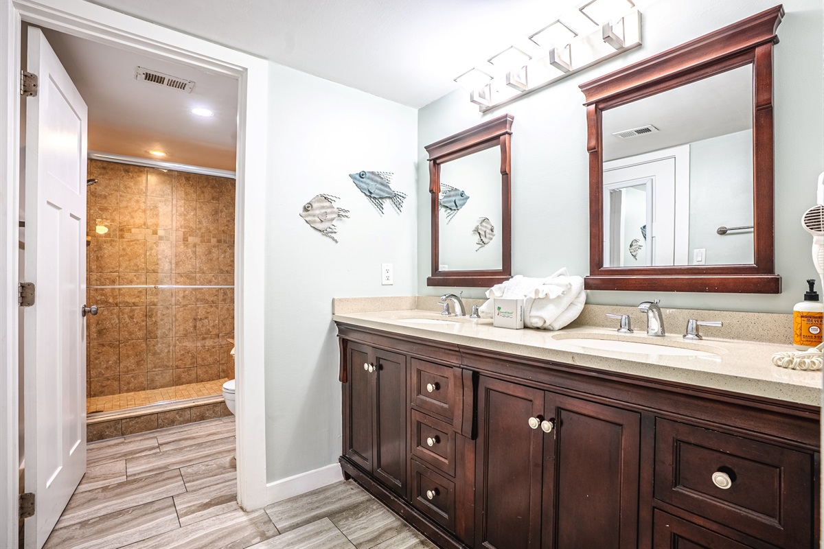 Master bathroom double vanity area