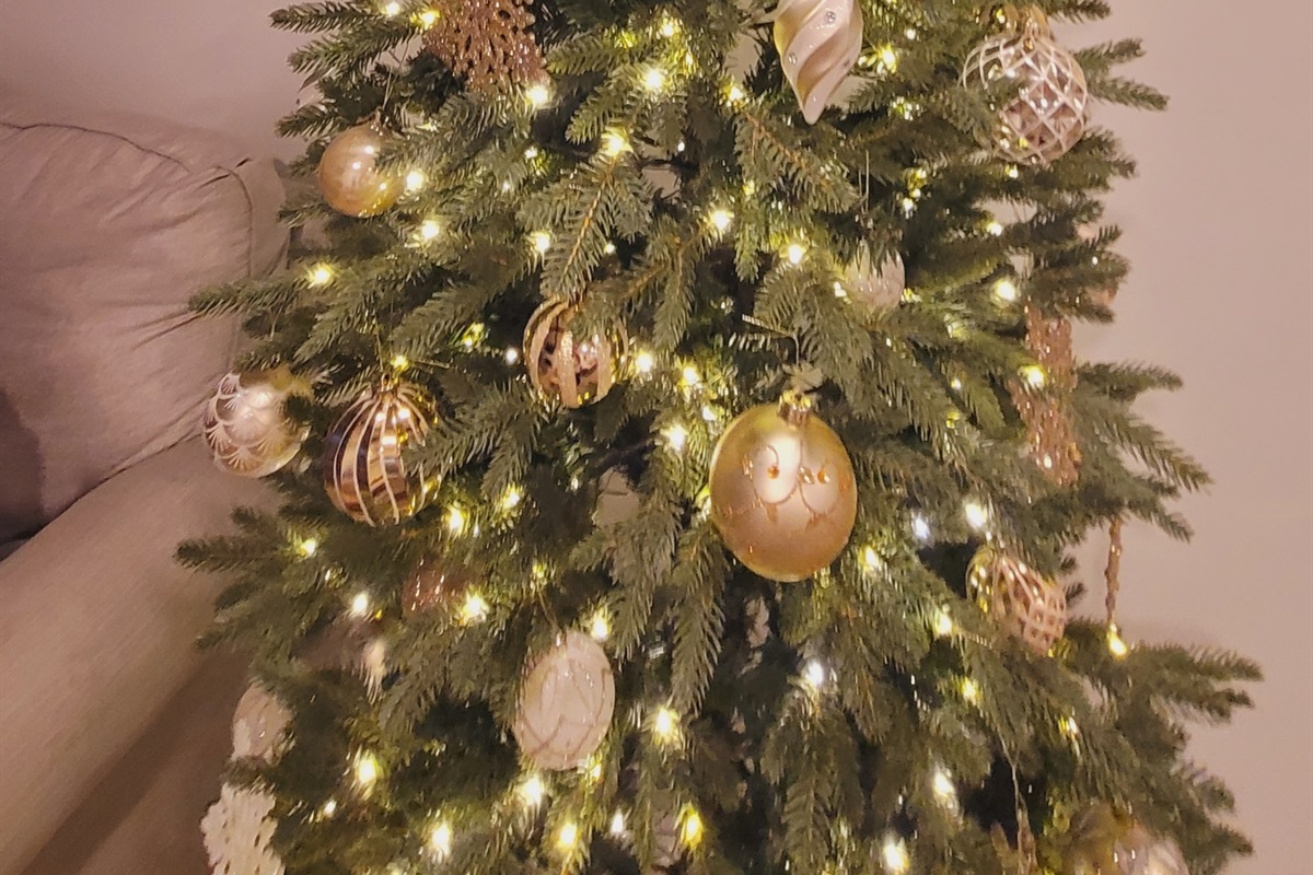 Christmas Tree is up!