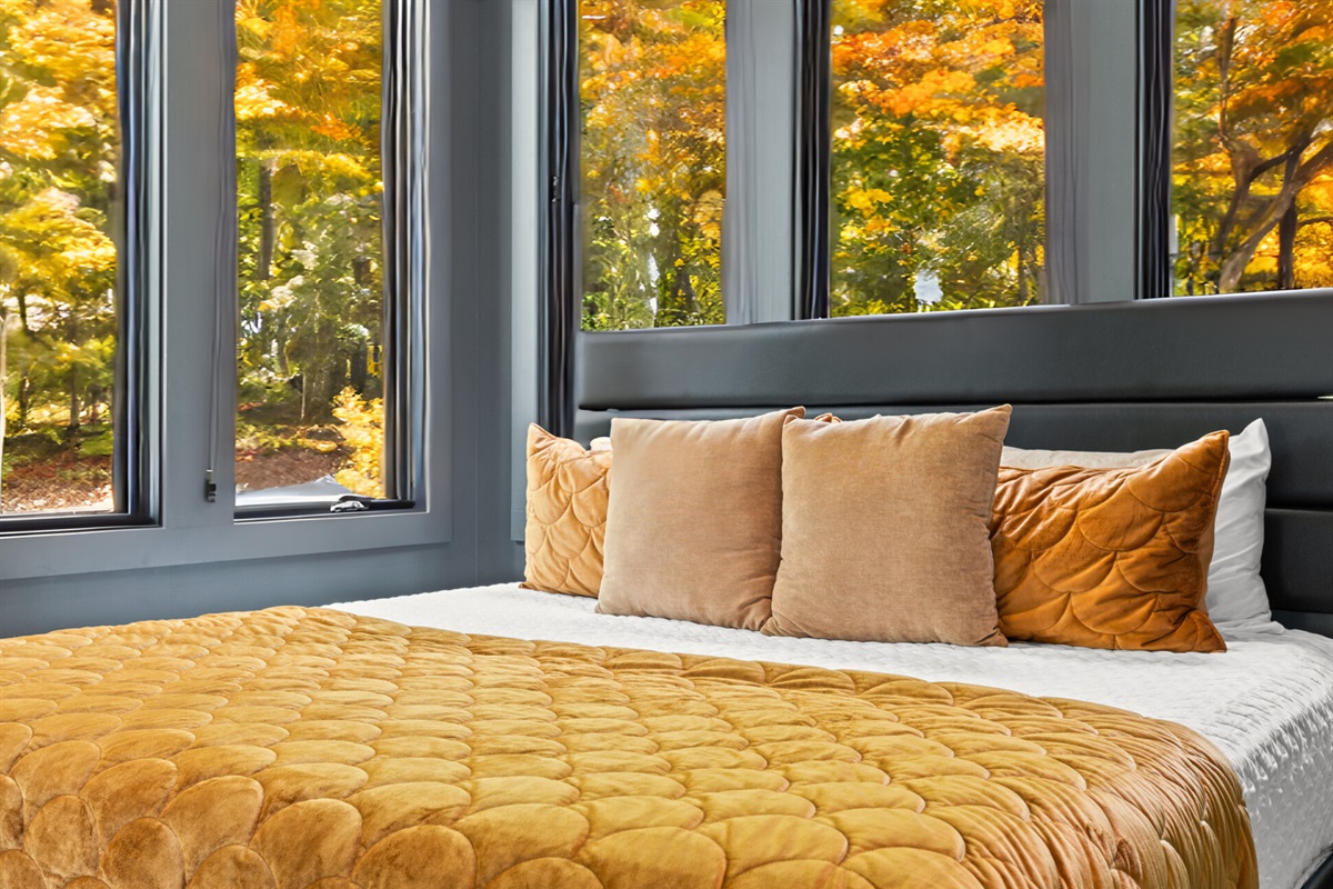 Bold and cozy, bright bedding and large windows that bring the outdoors in.