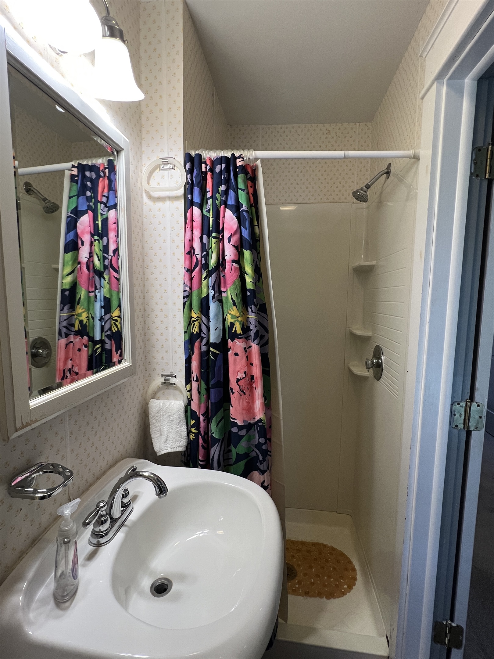 Dandelion main house hallway bathroom close to baseball room.