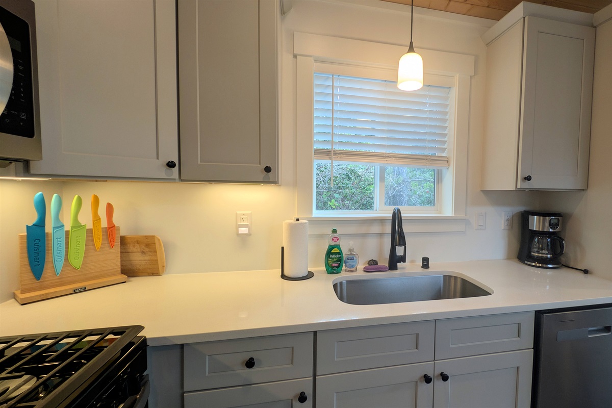 Kitchen sink and dishwasher