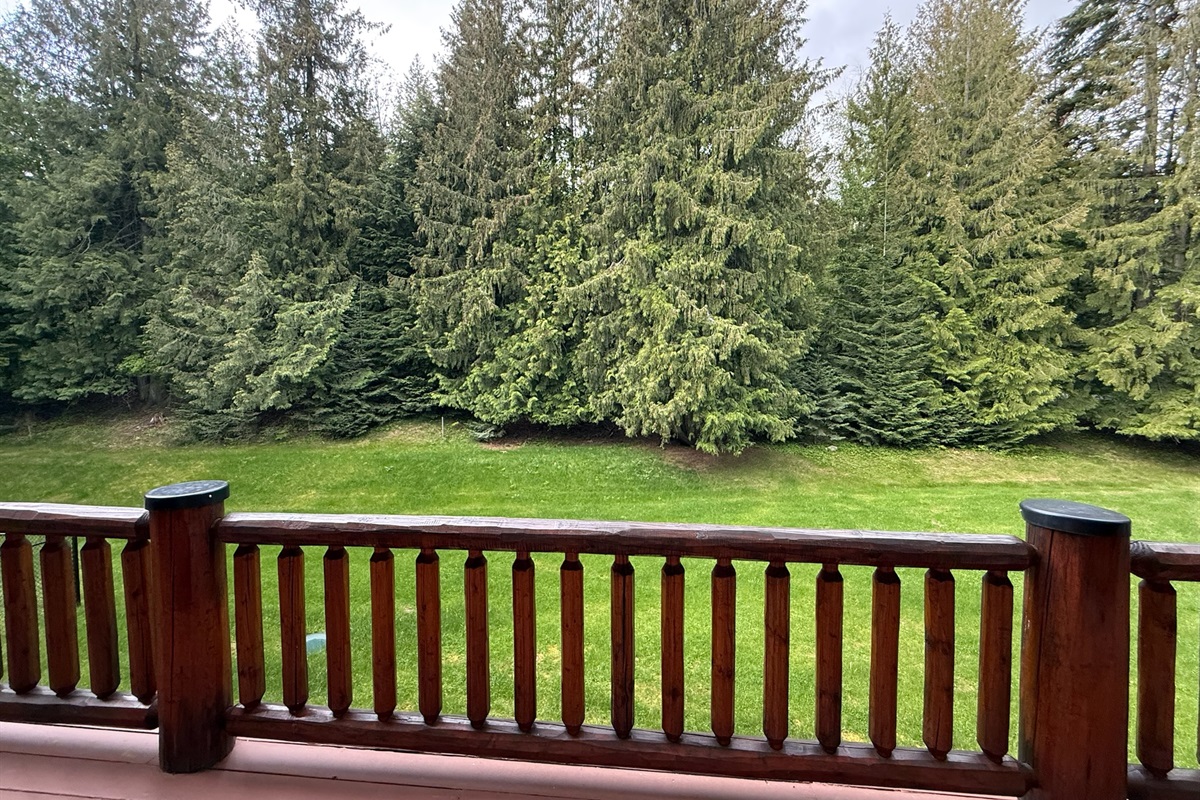 Back deck overlooking lawn 