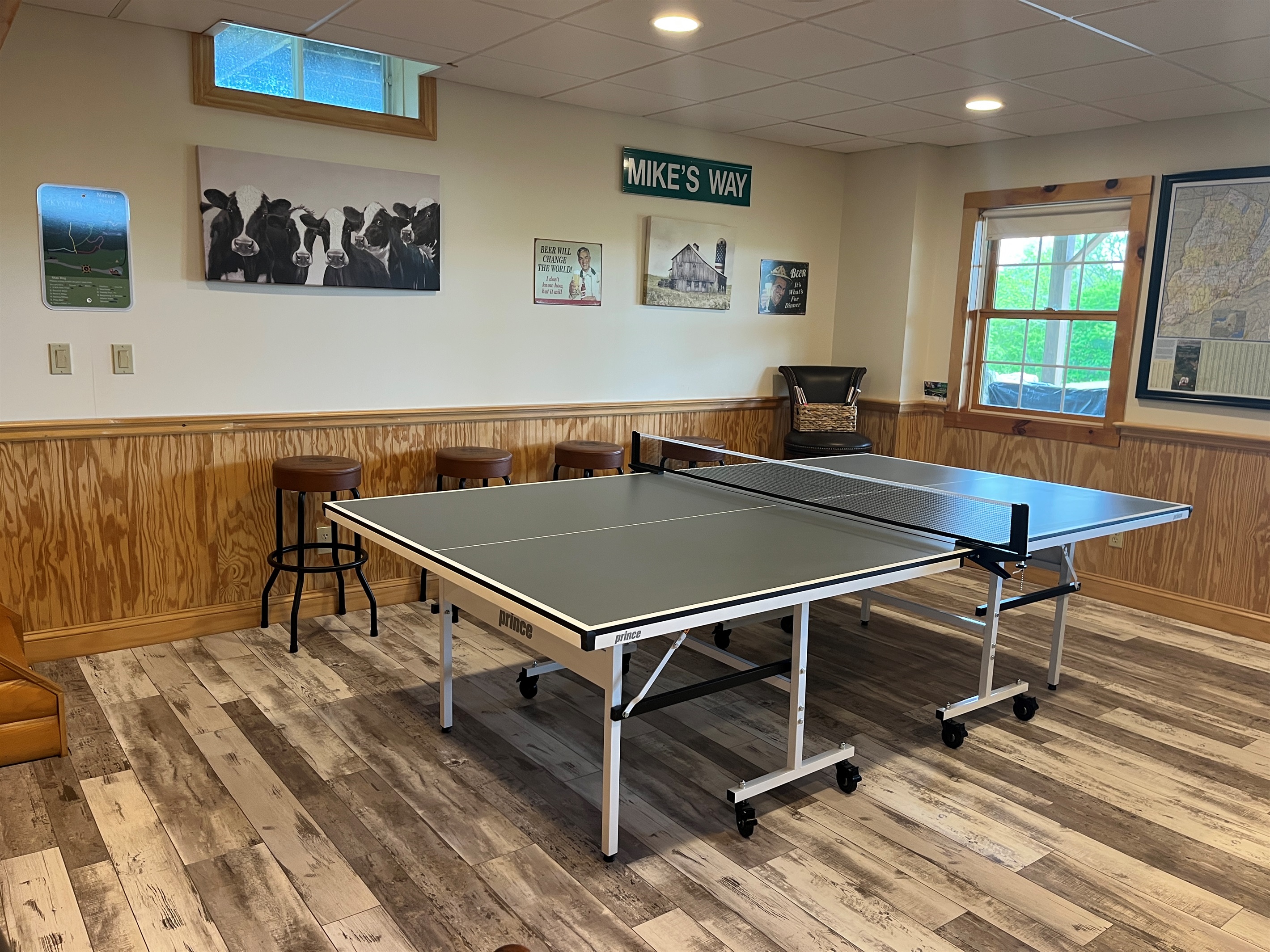 Gameroom pingpong